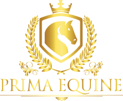 Prima Equine - Equestrian Supplies, Saddles, etc