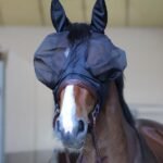 Kentucky Horsewear Fly Mask