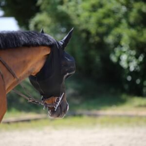 Kentucky Horsewear Fly Mask