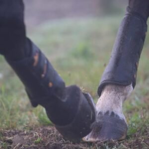 Air Tech Eventing Boots Hind - Image 8