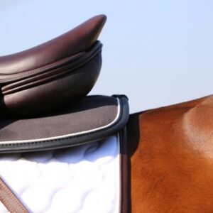 Anatomic Half Pad Absorb - Image 7