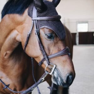 Kentucky Horsewear Fly Veil Wellington Leather Black