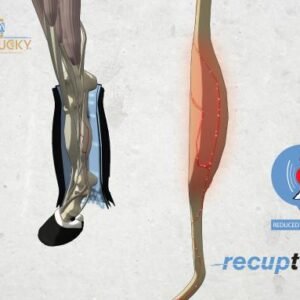 Kentucky Horsewear Magnetic Stable Boots Recuptex - Image 4