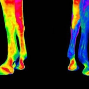 Kentucky Horsewear Magnetic Stable Boots Recuptex - Image 7