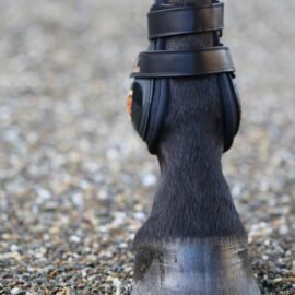 Moonboots Max - Image 4