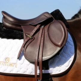 Kentucky Horsewear Saddle Pad Absorb - Image 5