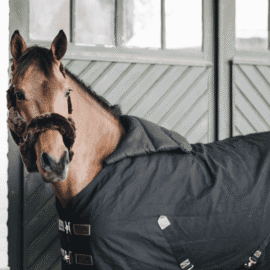 Kentucky Horsewear Rug Bib - Image 5