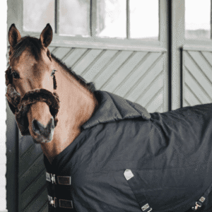 Kentucky Horsewear Rug Bib - Image 5