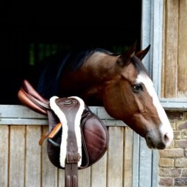 Kentucky Horsewear Sheepskin Anatomic Short Girth - Image 3