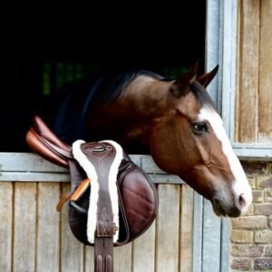 Kentucky Horsewear Sheepskin Anatomic Short Girth - Image 3