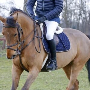 SADDLE PADS & COVERS