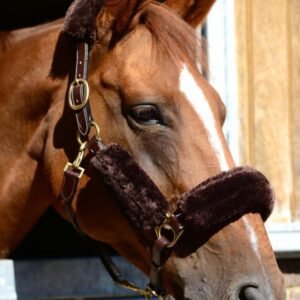 Kentucky Horsewear Sheepskin Halter Set - Image 2