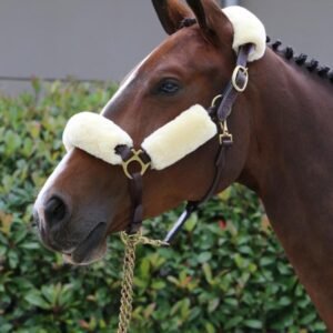 Kentucky Horsewear Sheepskin Halter Set - Image 3