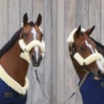 Sheepskin Halter Set 4 pcs cream3