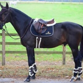 Kentucky Horsewear Sheepskin Noseband Cover - Image 3