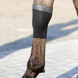 Kentucky Horsewear Tendon Grip Gel Sock - Image 4