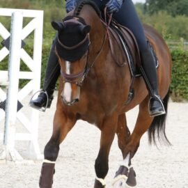 Turnout Boots Leather Front - Image 6