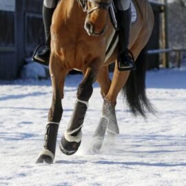 Turnout Boots Leather Front - Image 5