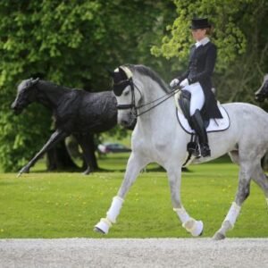 Turnout Boots Leather Front - Image 3