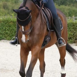 Kentucky Turnout Boots Leather Hind - Image 5