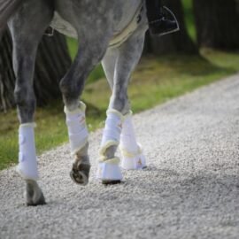 Kentucky Turnout Boots Leather Hind - Image 3