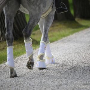 Kentucky Turnout Boots Leather Hind - Image 3