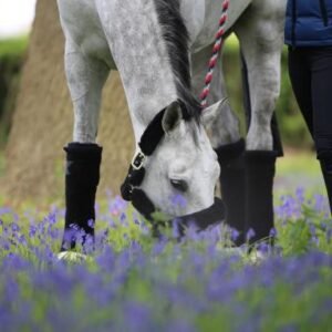 Wool Bandages - Image 2