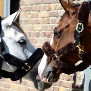 Kentucky Horsewear Sheepskin Halter - Image 4