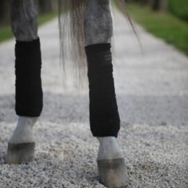 Kentucky Horsewear Polar Fleece Bandages Black