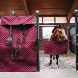 Kentucky Horsewear Stable Curtain Bordeaux