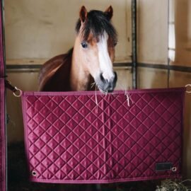 Kentucky Horsewear Stable Guard Bordeaux
