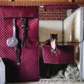 Kentucky Horsewear Head Protector Bordeaux