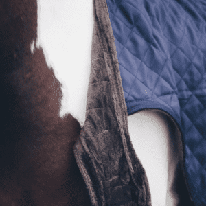 Kentucky Horsewear Walker Rug