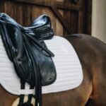 Kentucky Horsewear Saddle Pad Pearls Show Dressage White