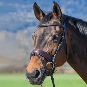 TRADITIONAL DRESSAGE BRIDLE WITH RUBBER REINS - Image 1
