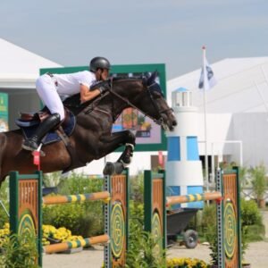 Kentucky Sheepskin Air Tendon boots - Image 10