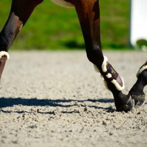 Kentucky Sheepskin Air Tendon boots - Image 7