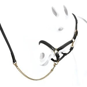 Equipe Braided Halter - Image 1