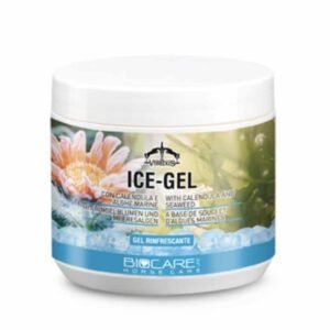 ICE GEL - Image 1