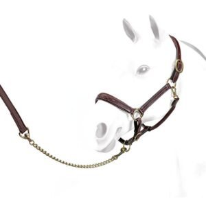 LEATHER LEAD ROPE BRASS CHAIN - Image 1