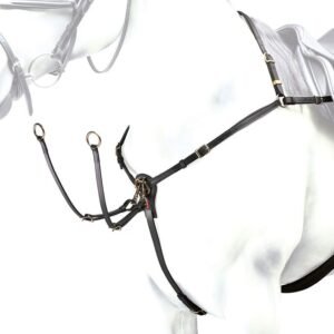 EQUIPE DOUBLE REGULATION BREASTPLATE - Image 1