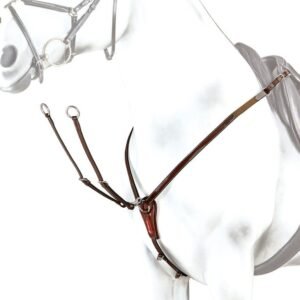 PATENT BREASTPLATE - Image 1