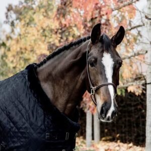 Kentucky Horsewear Limited Edition Black/Black Show Rug