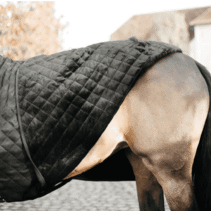 Kentucky Horsewear Limited Edition Black/Black Show Rug