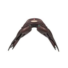 Equipe e-carbon EK-EVO Special