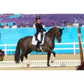 Equipe Emporio Special Monoflap Dressage