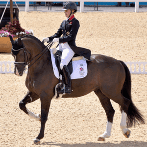 Equipe Emporio Special Monoflap Dressage