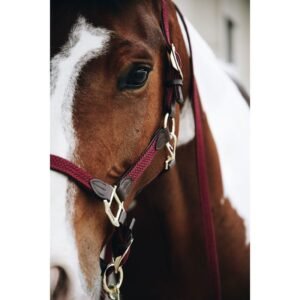 Kentucky Horsewear Plaited Nylon Halter - Image 6