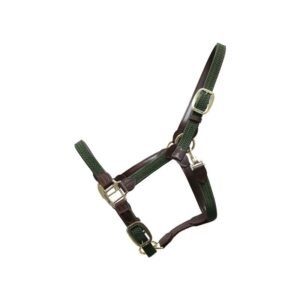 Kentucky Horsewear Plaited Nylon Halter - Image 3