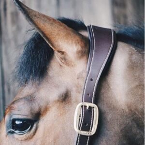 Kentucky Horsewear Anatomic Leather Head Collar - Image 2